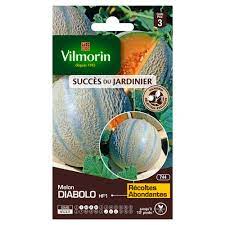 SACHET MELON DIABOLO HF1 VILMORIN