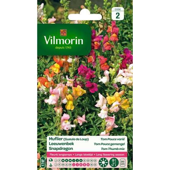 SACHET MUFLIER TOM POUCE VILMORIN
