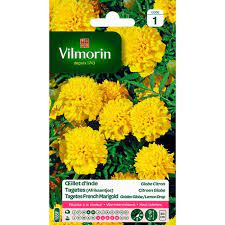 SACHET OEILLET D'INDE GLOBE CITRON VILMORIN