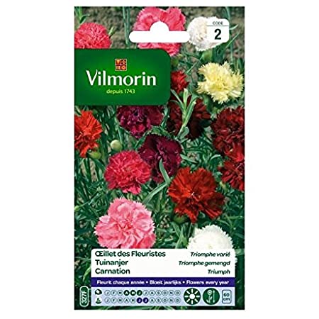 SACHET OEILLET DES FLEURISTES TRIOMPHE VARIE VILMORIN