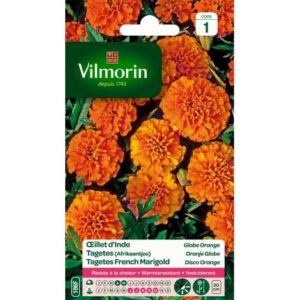 SACHET OEILLET D'INDE SPUN ORANGE VILMORIN