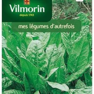 SACHET OSEILLE LARGE DE BELLEVILLE VILMORIN