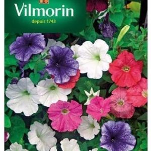 SACHET PETUNIA VARIE VILMORIN