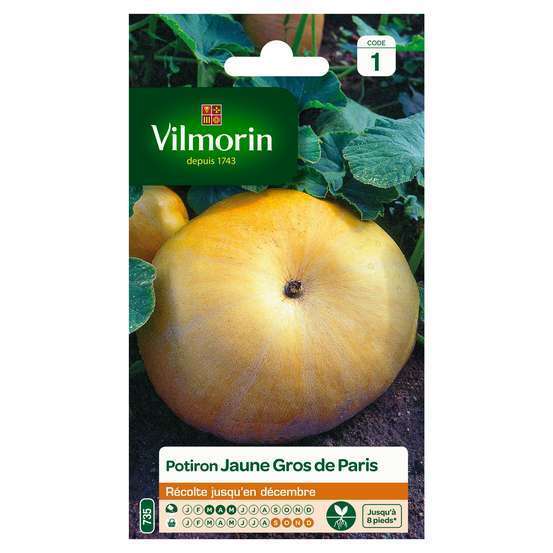 SACHET POTIRON JAUNE GROS DE PARIS VILMORIN