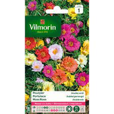 SACHET POURPIER DOUBLE VARIE VILMORIN