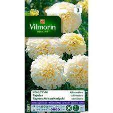SACHET ROSE D'INDE KILIMANDJARO VILMORIN