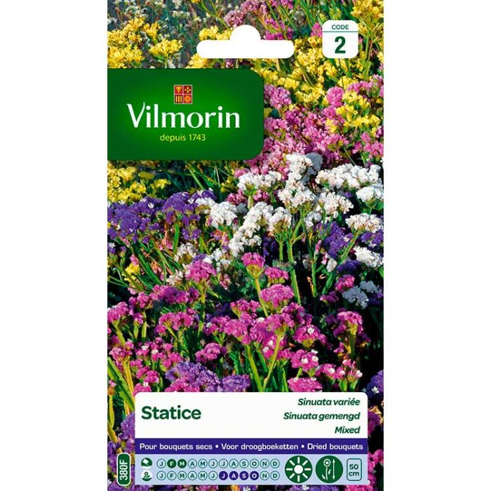 SACHET STATICE SINUATA VILMORIN