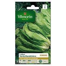 SACHET LAITUE VERTE  MARAICHERE VILMORIN