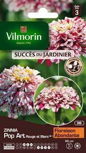 SACHET ZINNIA POP ART VILMORIN
