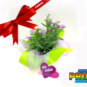ASTER