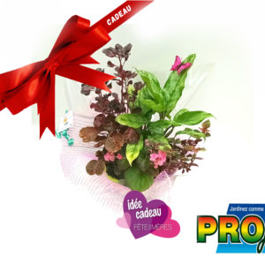 COUPE COMPOSITION FLORALE MOYENNE